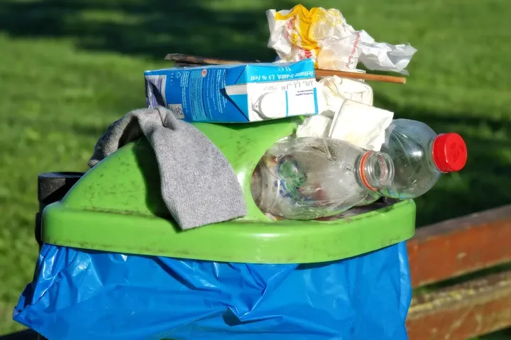 What Can I Do With Egg Cartons?