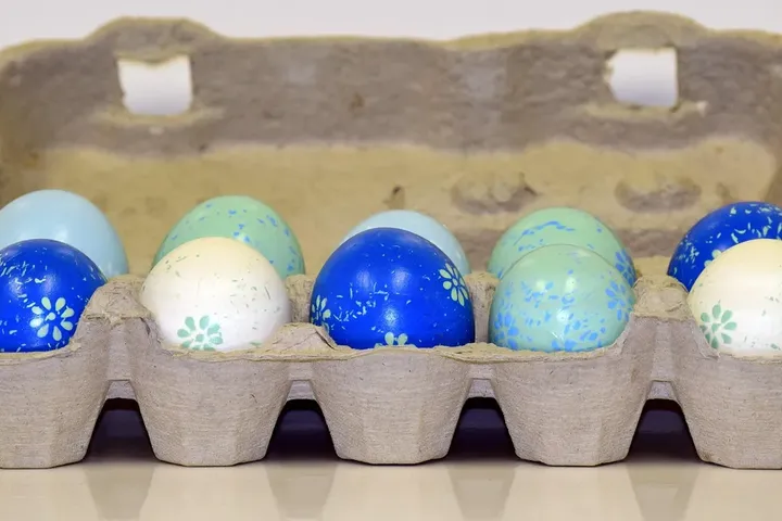 Paint Trays Egg Cartons