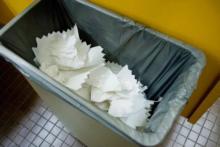 Can You Compost Paper Towels
