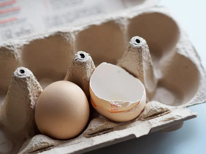How To Recycling Egg Cartons At Home