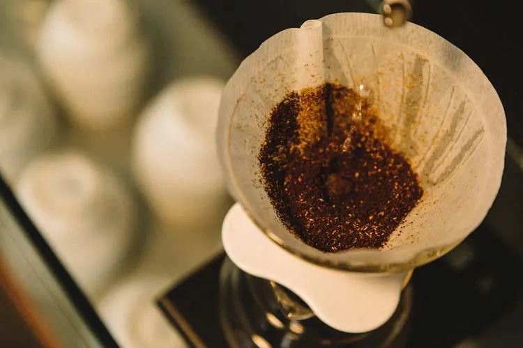 Are Coffee Filters Compostable