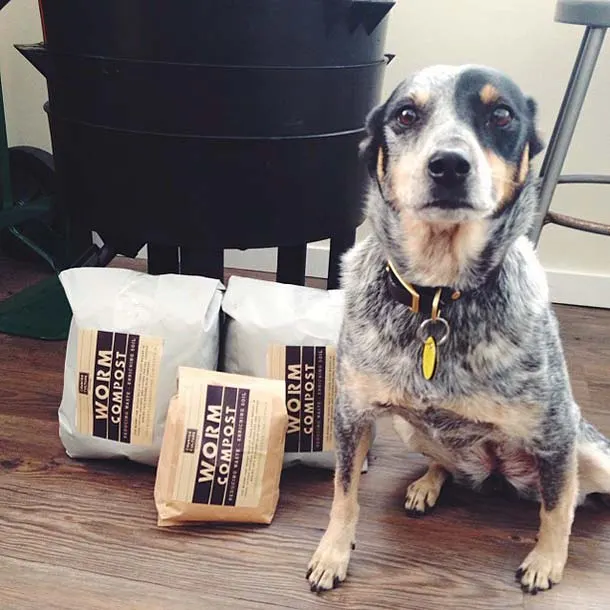 Can You Compost Dog Poop